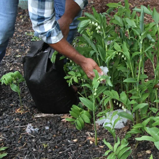 Quick Dam Flood Bags - Image 10