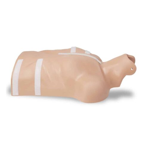 ZOLL CPR-D Demo Manikin